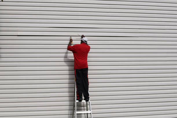 Best Vinyl Siding Installation  in Pelican Rapids, MN